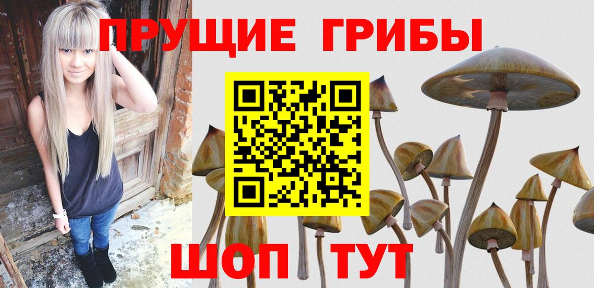 Выкса  Галлюциногенные грибы Cubensis  Псилоцибиновые грибы Cubensis  Вход с VPN 
